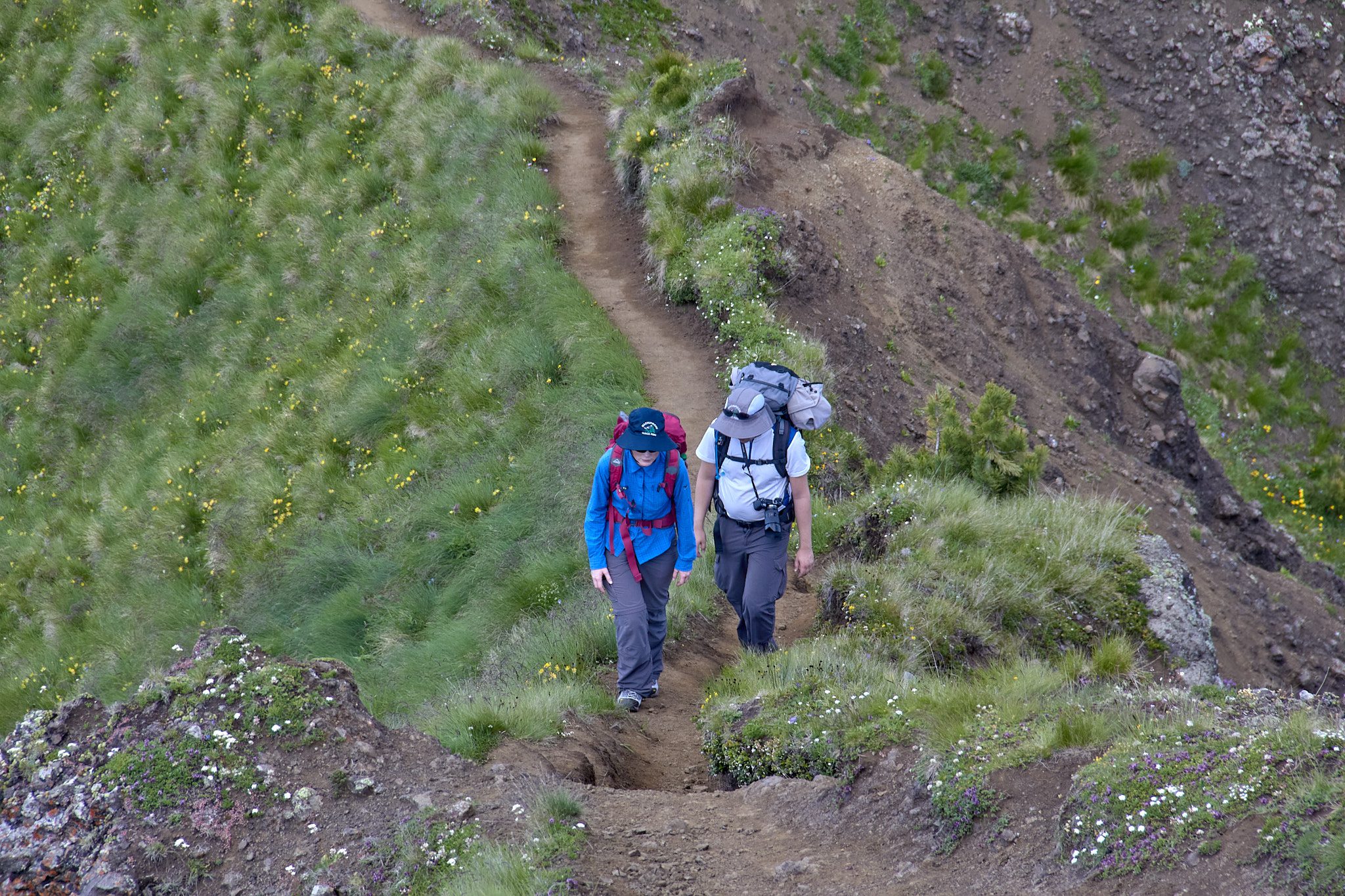 Guided Dolomites hike: two hikers on a narrow path surrounded by lush greenery and wildflowers in the Dolomites.